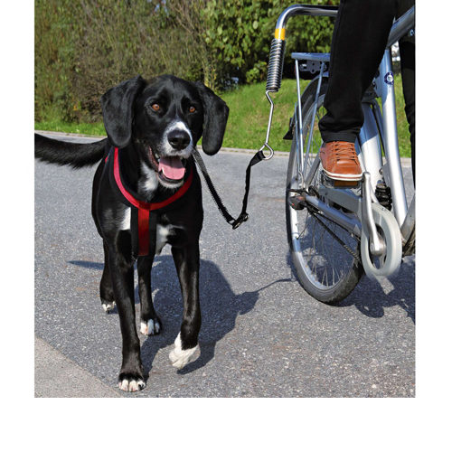 Trixie Dog Biker Kit