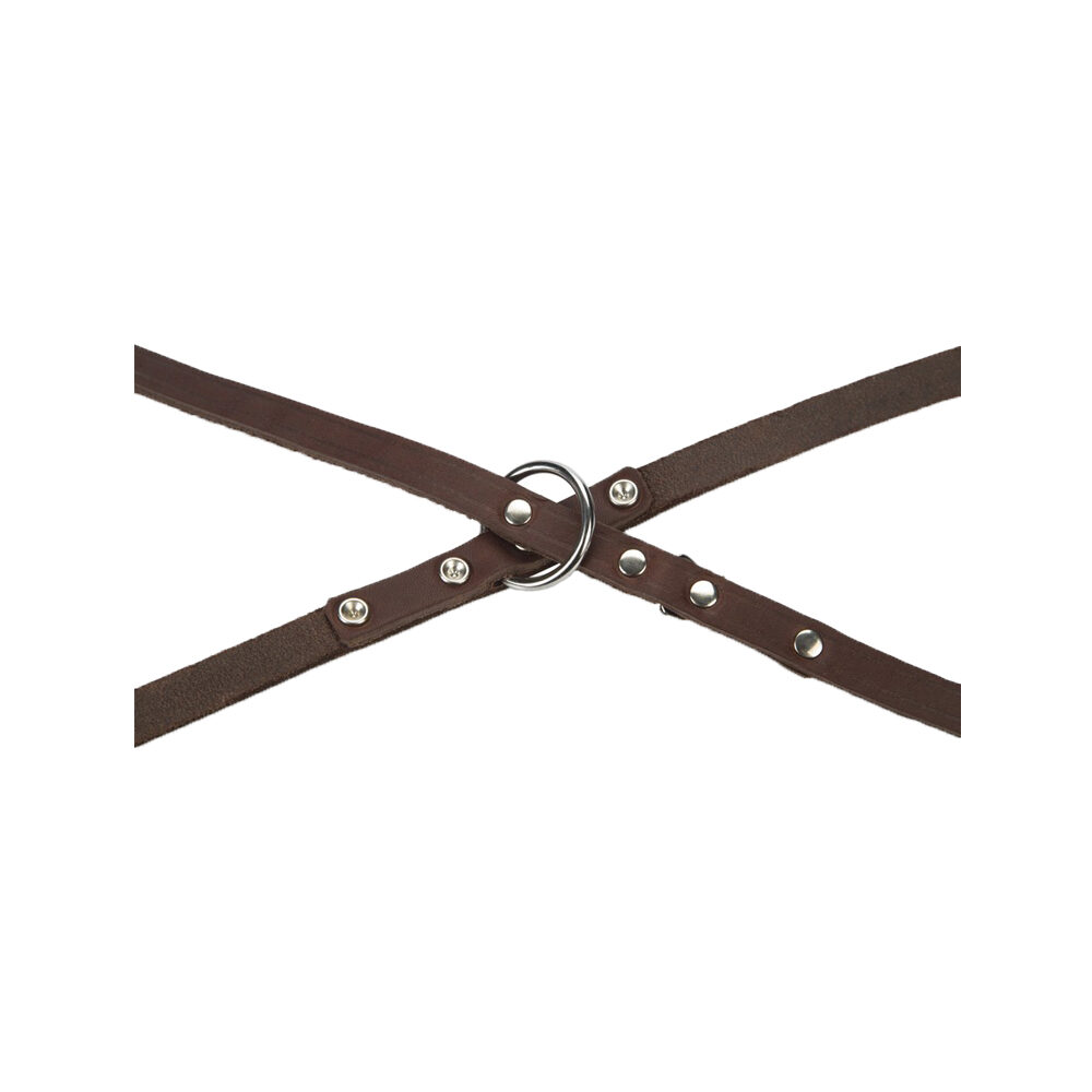 Beeztees Dog Leash Leather - Brown - 200 x 18cm