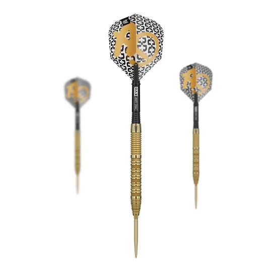 Target Bolide Envy 01 Swiss Point steel darts