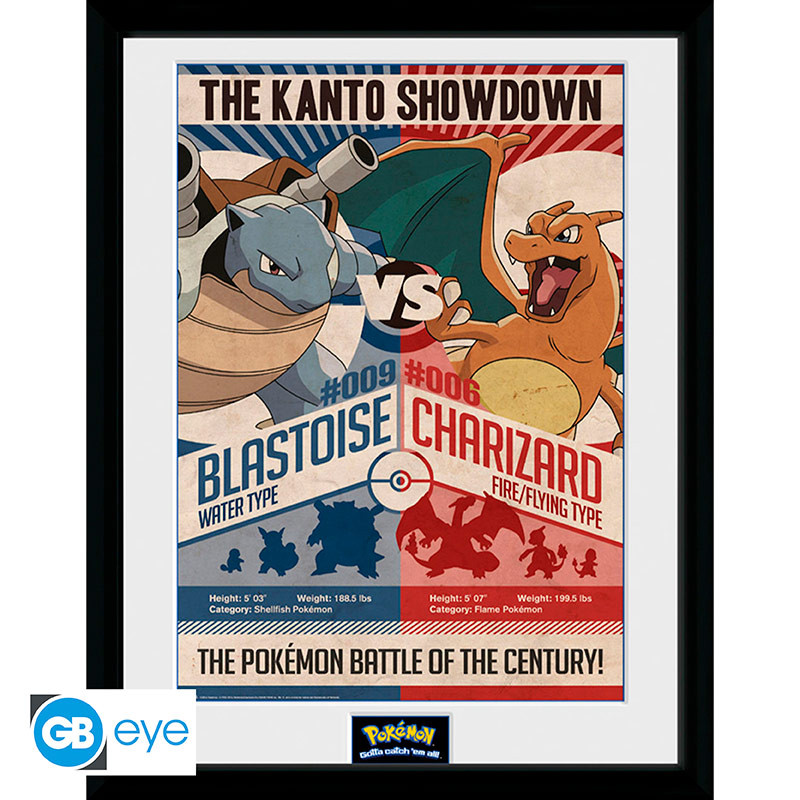 POKEMON Framed print Red V Blue