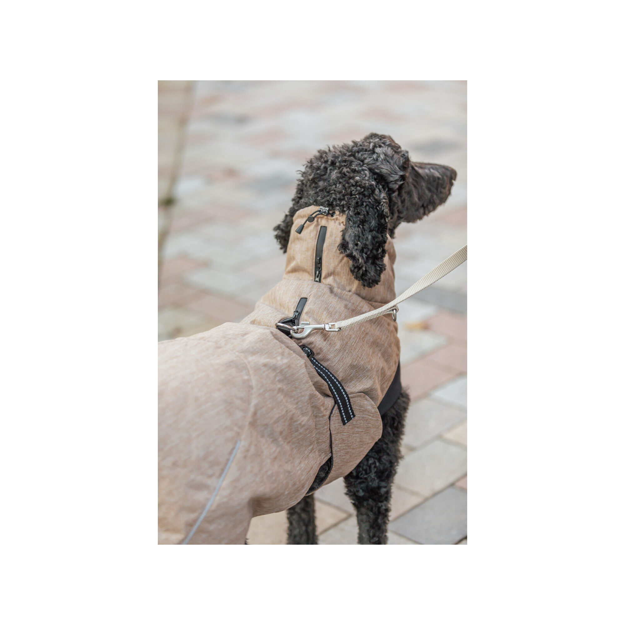 Trixie Winter Coat Riom - Sand - XS - 25 cm