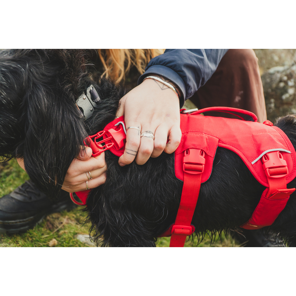 Ruffwear Web Master Harness - L/XL - Basalt Gray