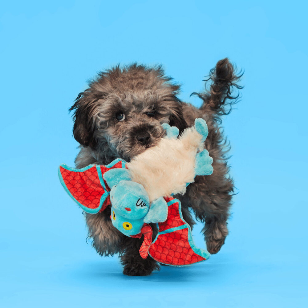 Bark Grimbold Dragon