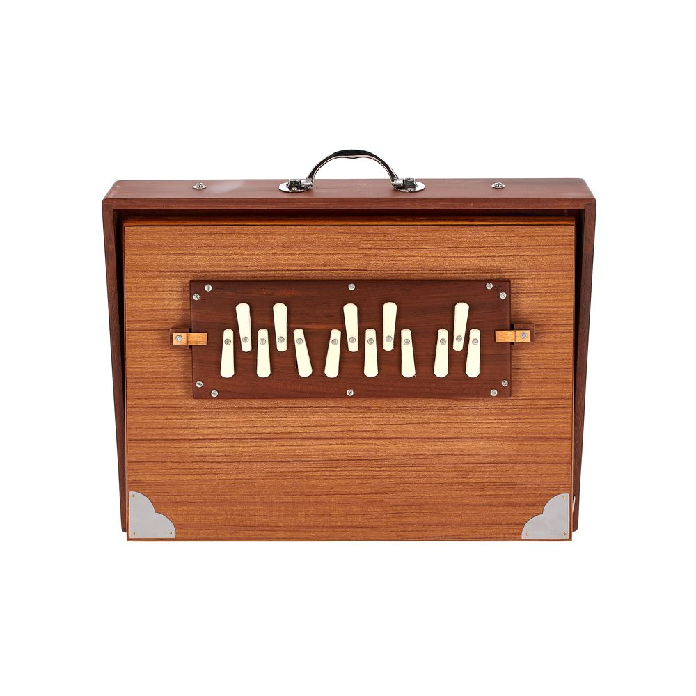 Thomann Nataraj Prof. Shruti Box G