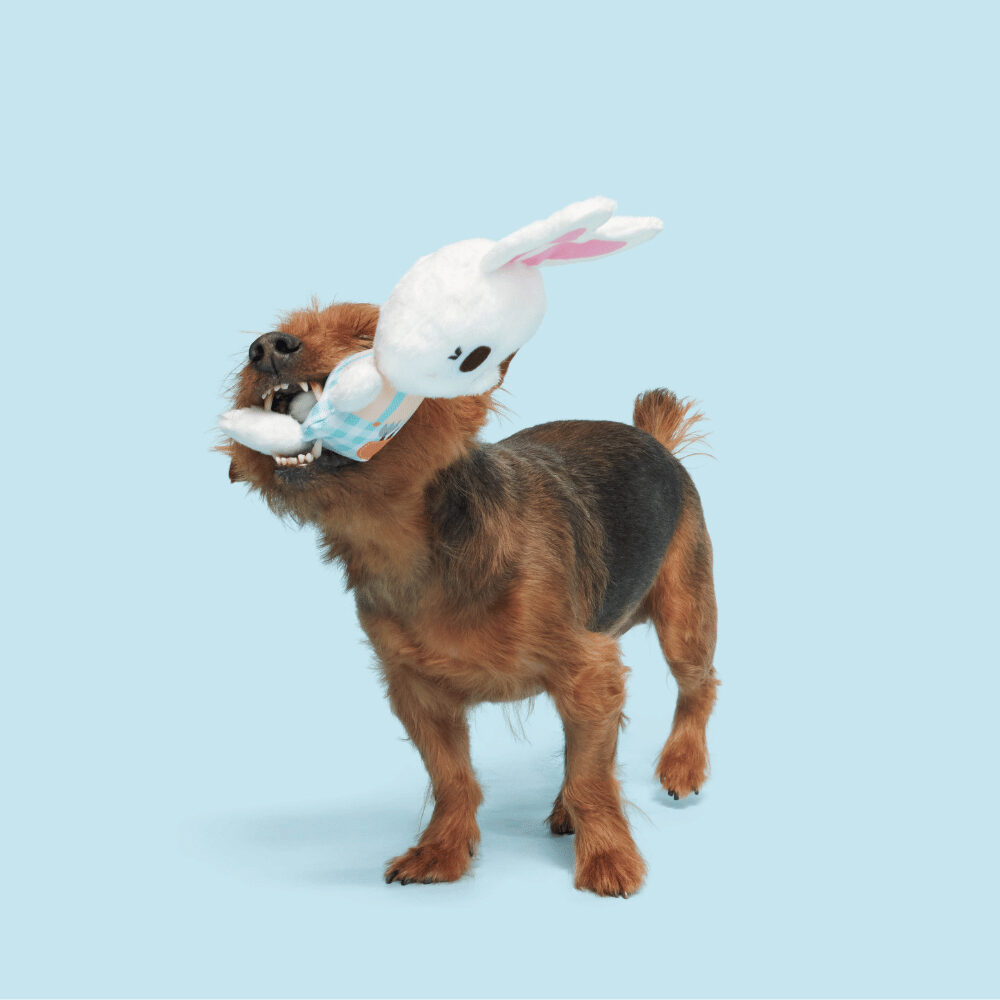 Bark Green Thumb Rabbit with Apron