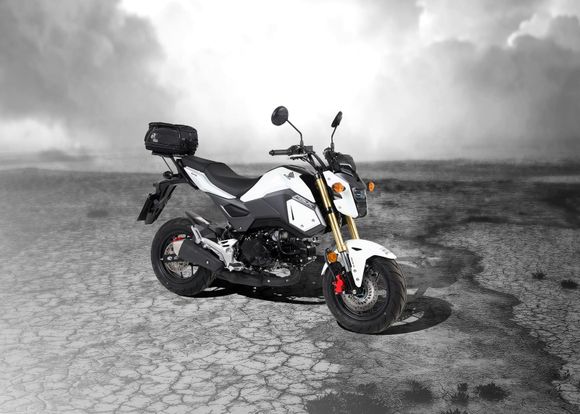 Porte Bagage Hepco & Becker Minirack - noirHONDA 125 MSX 125 ABS (JC75) - 2017 - 2020Ref : HBE04222A / 6609504 01 01