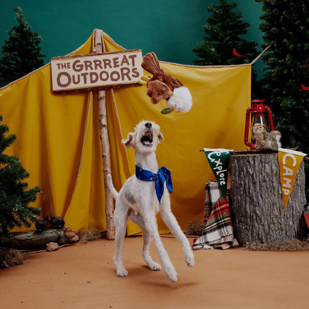 Bark Majestic Marty Eagle with Fish