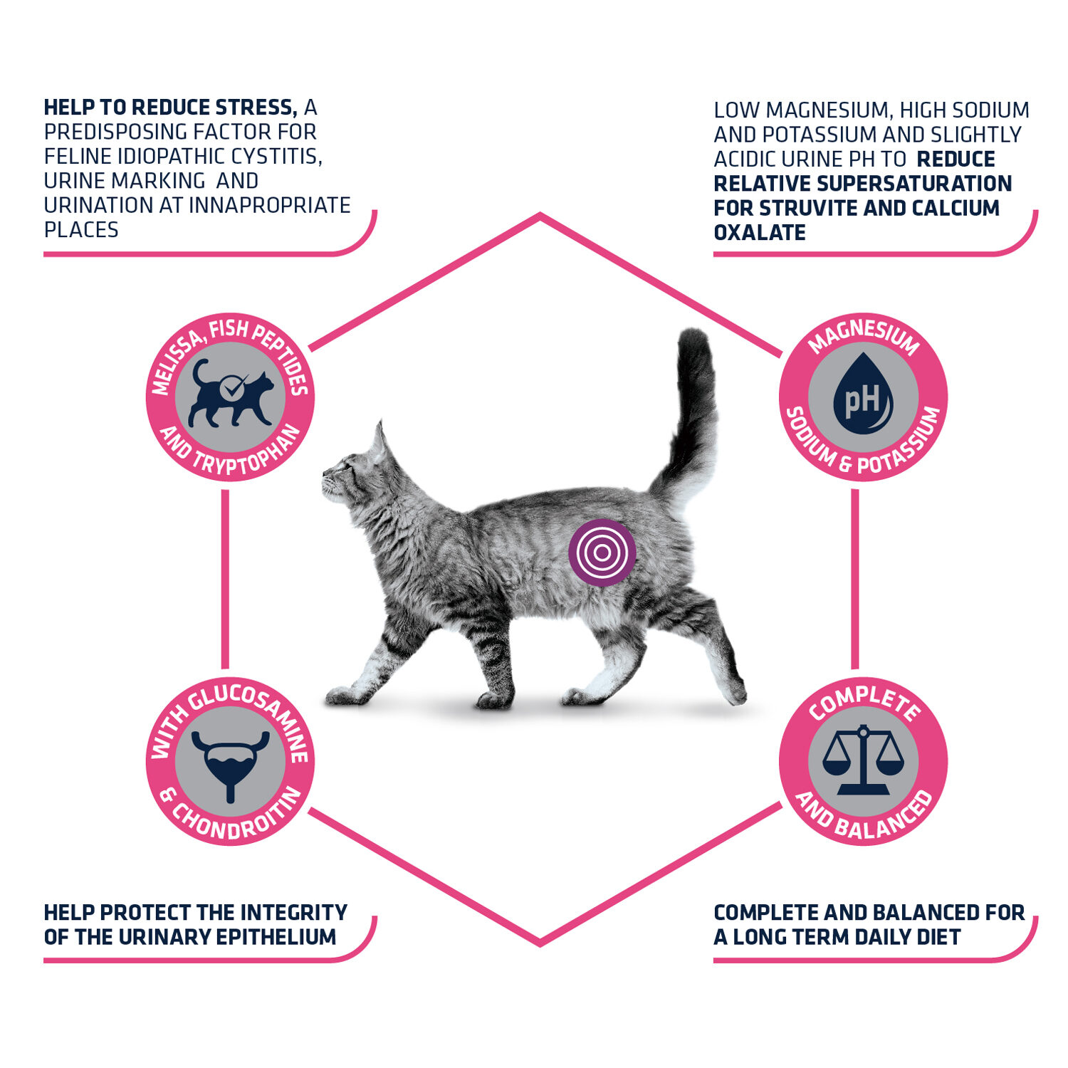 Affinity Advance Veterinary Diets Urinary Stress Cat - 1.25 kg