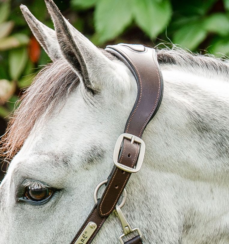 Horseware® Signature Braided Headcollar