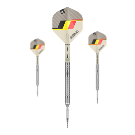 Target Dimitri Van Den Bergh GEN2 Swiss Point steel darts