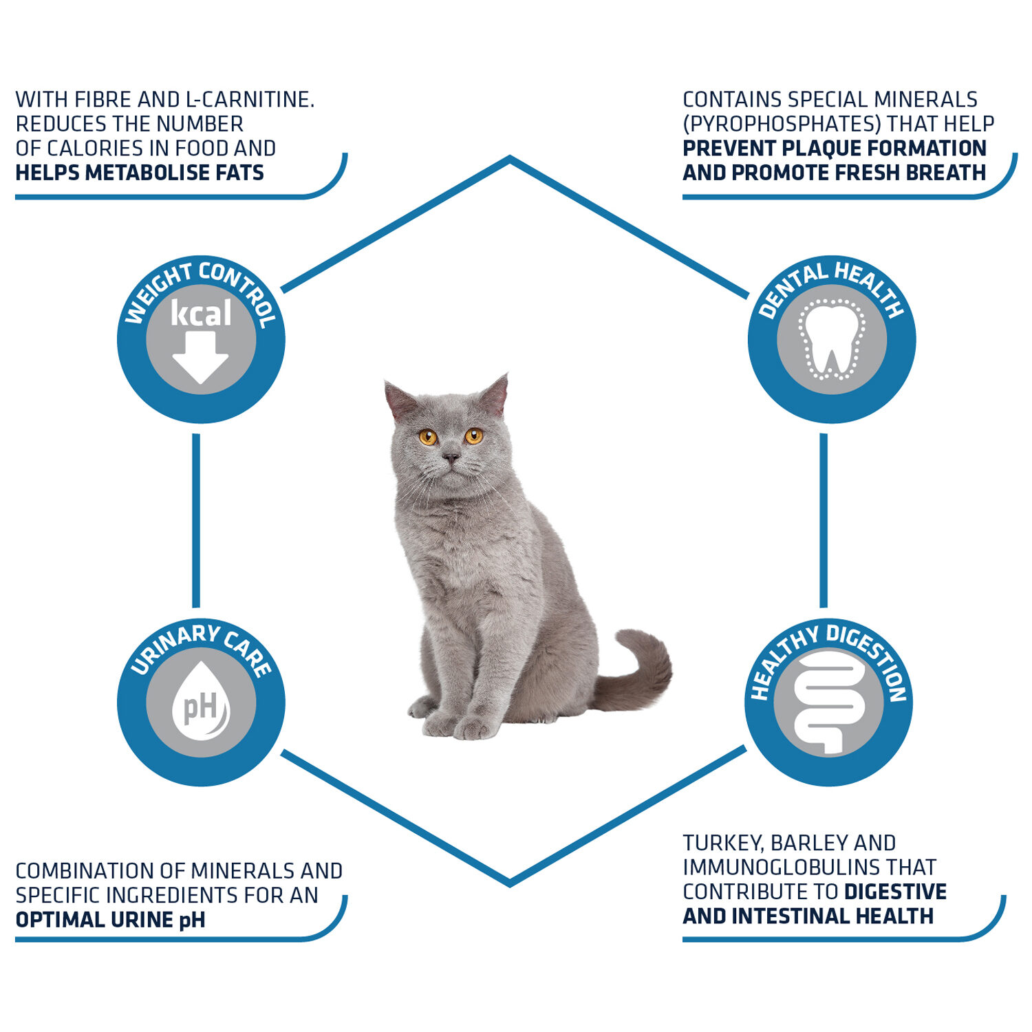 Affinity Advance Sterilized - Turkey - Cat - 1.5 kg