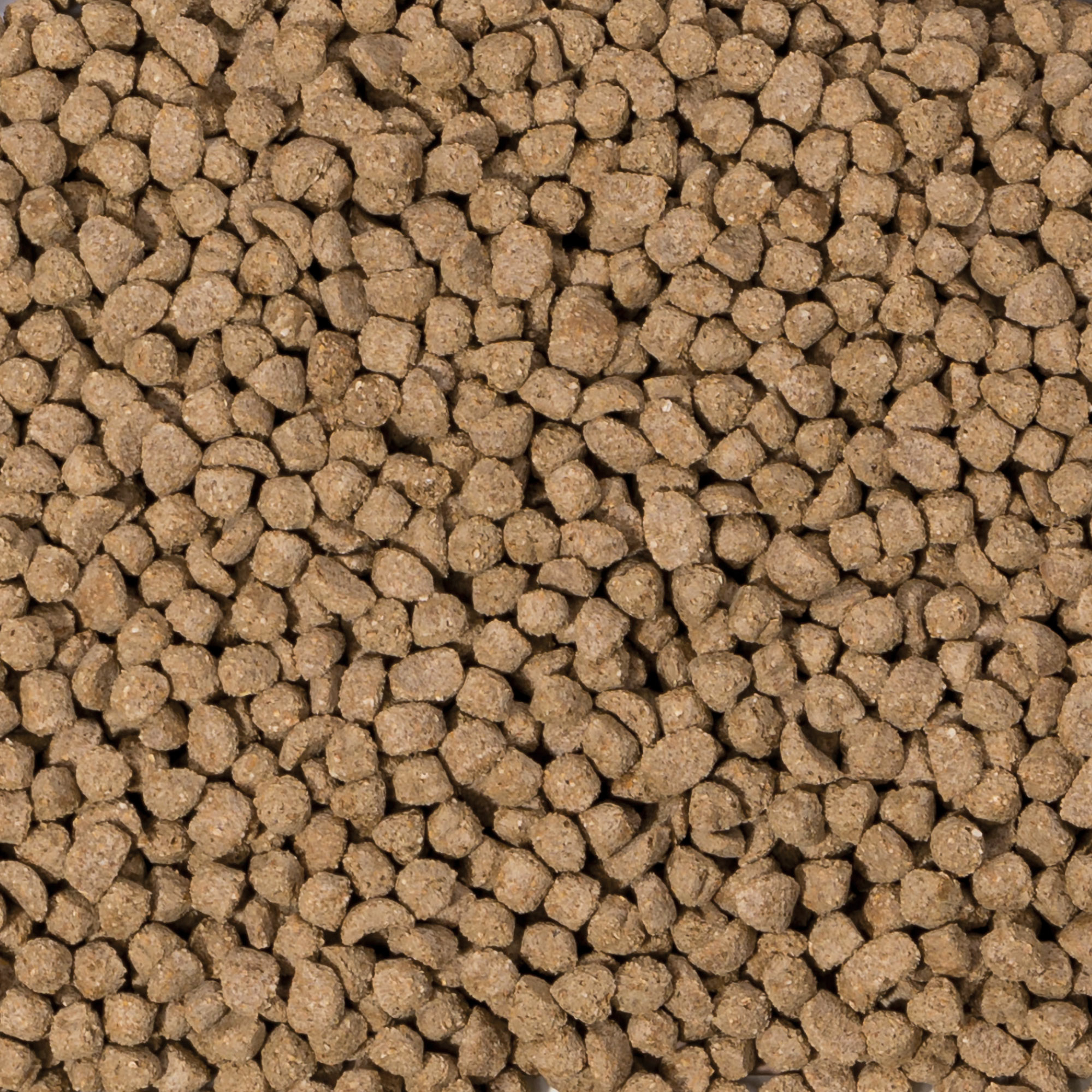 Beaphar Care+ Junior Rabbit - 1.5kg