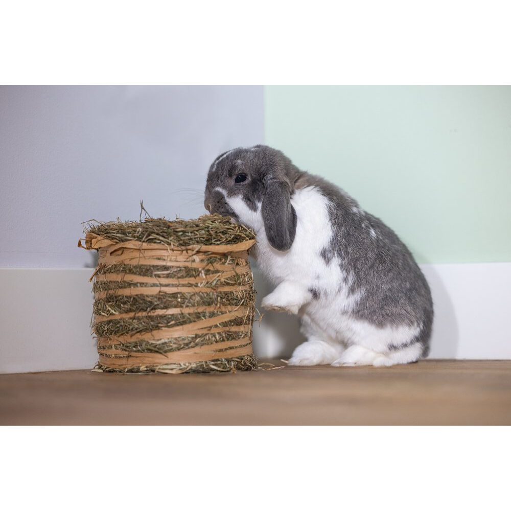 Beeztees Hay Bale - 500 g