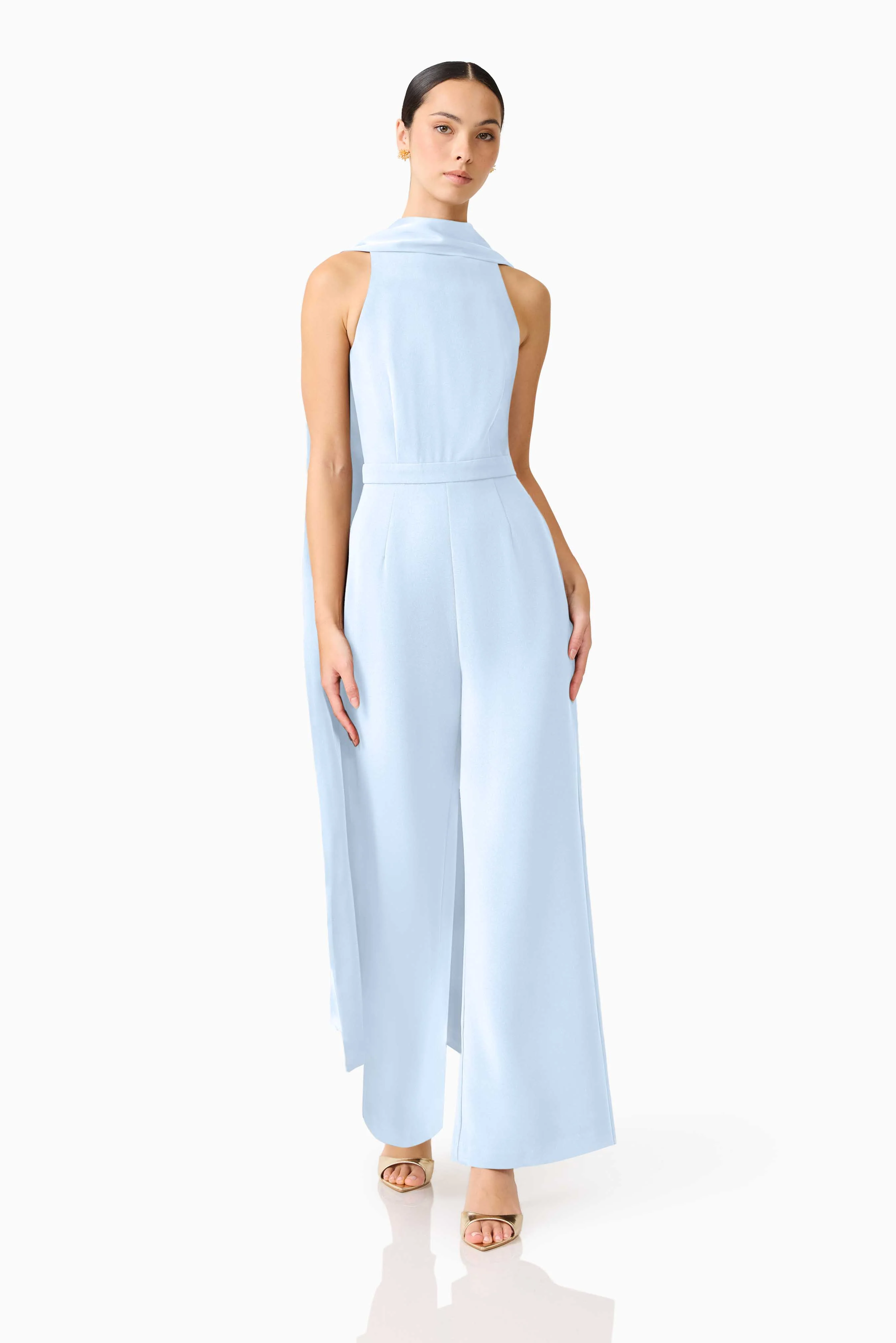 Anaya Wide Leg Jumpsuit in Blue