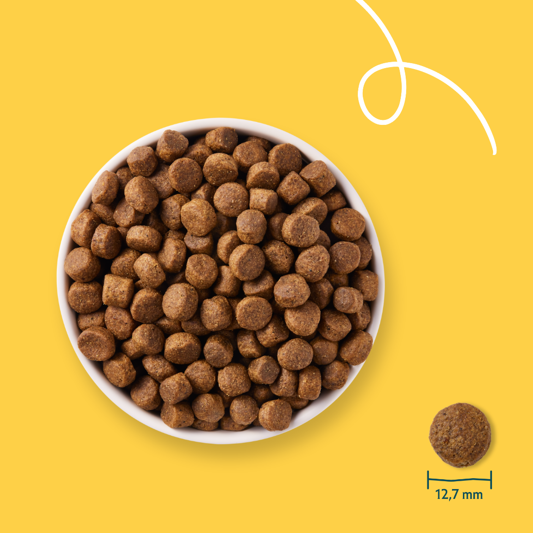 Yarrah Dry Grain-Free Dog Food Bio - 10kg