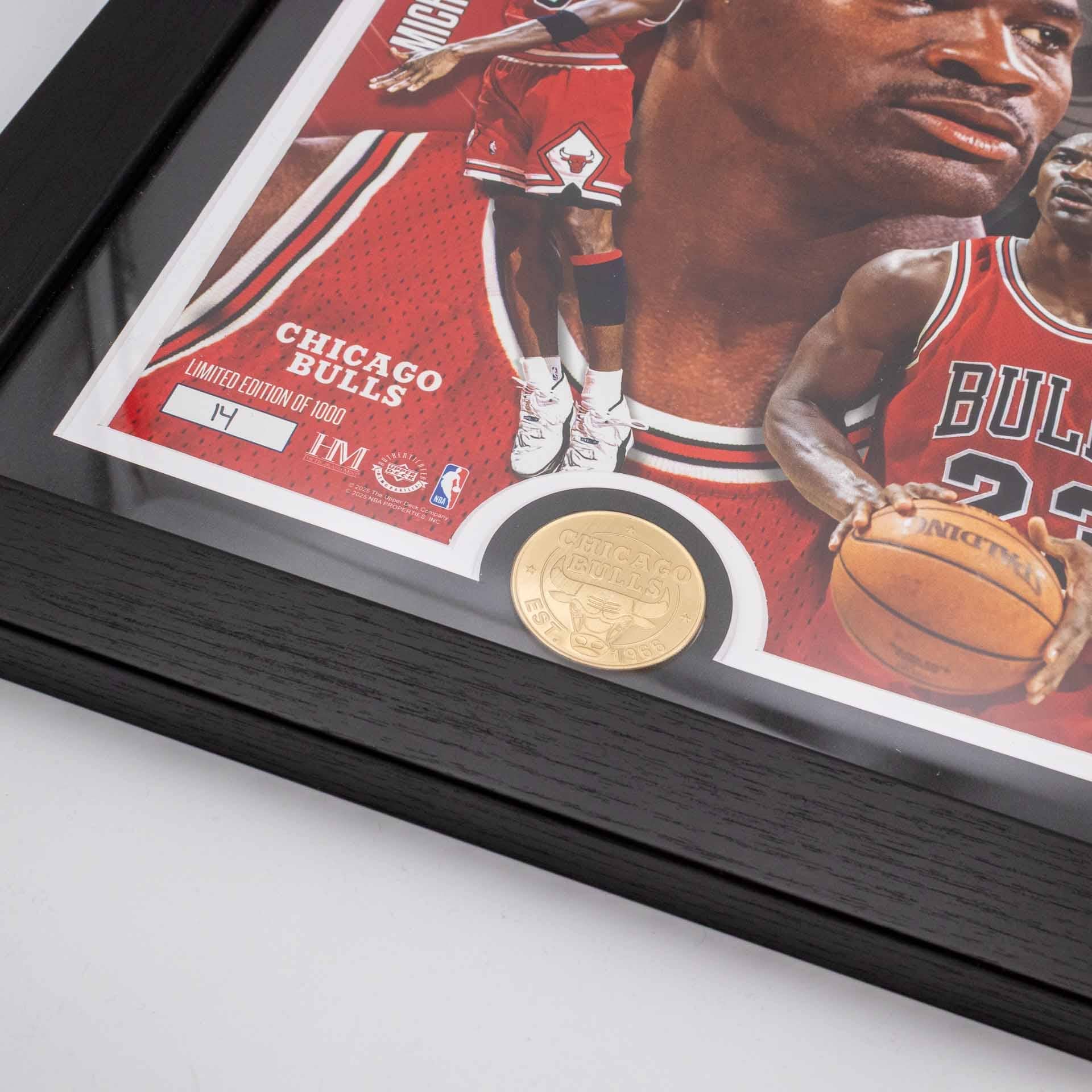 Michael Jordan Chicago Bulls Artist Proof Bronze Coin NBA Photo Frame