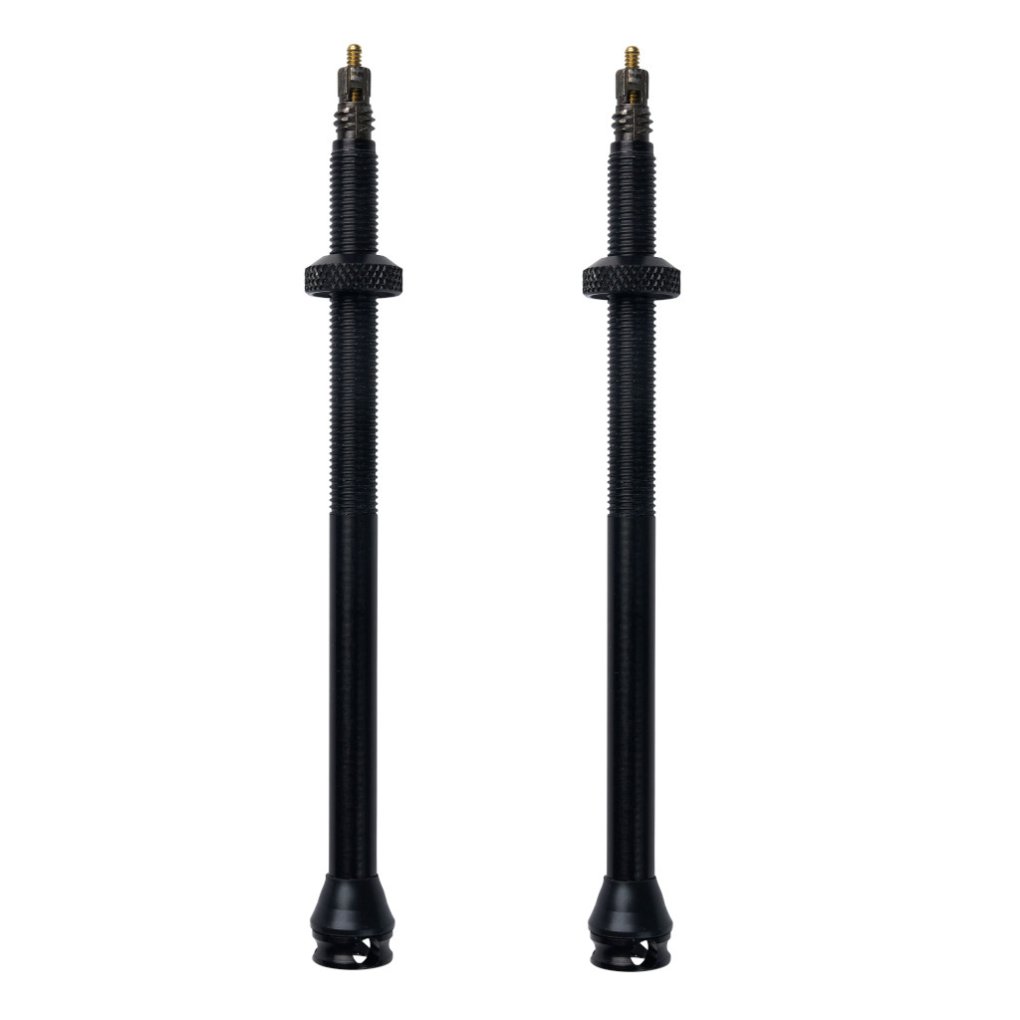 Schwalbe Tubeless Valves (1 Pair) - SV - 100mm