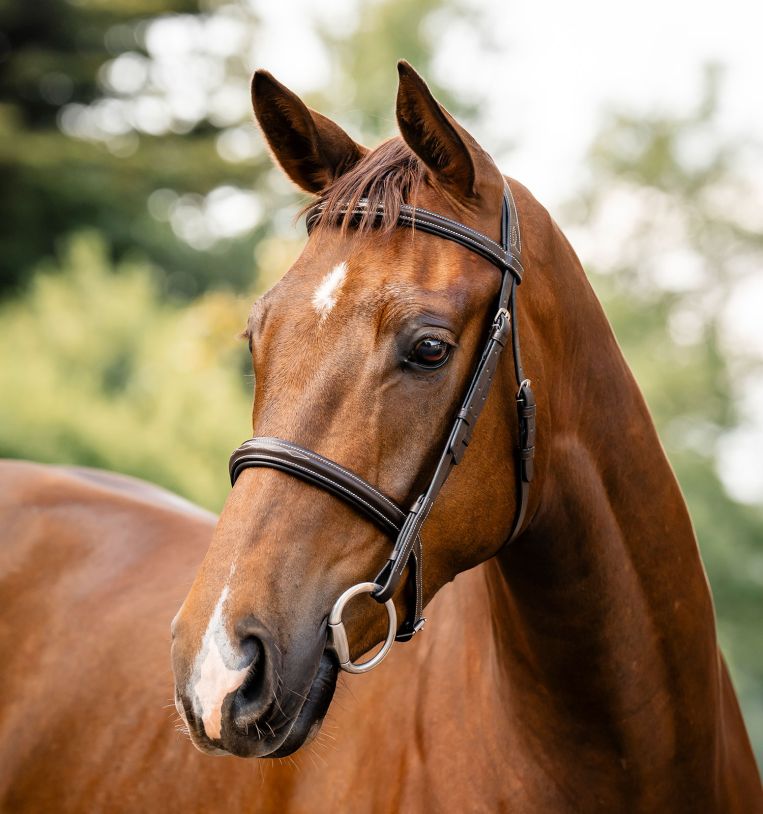 Horseware® Hunter Bridle