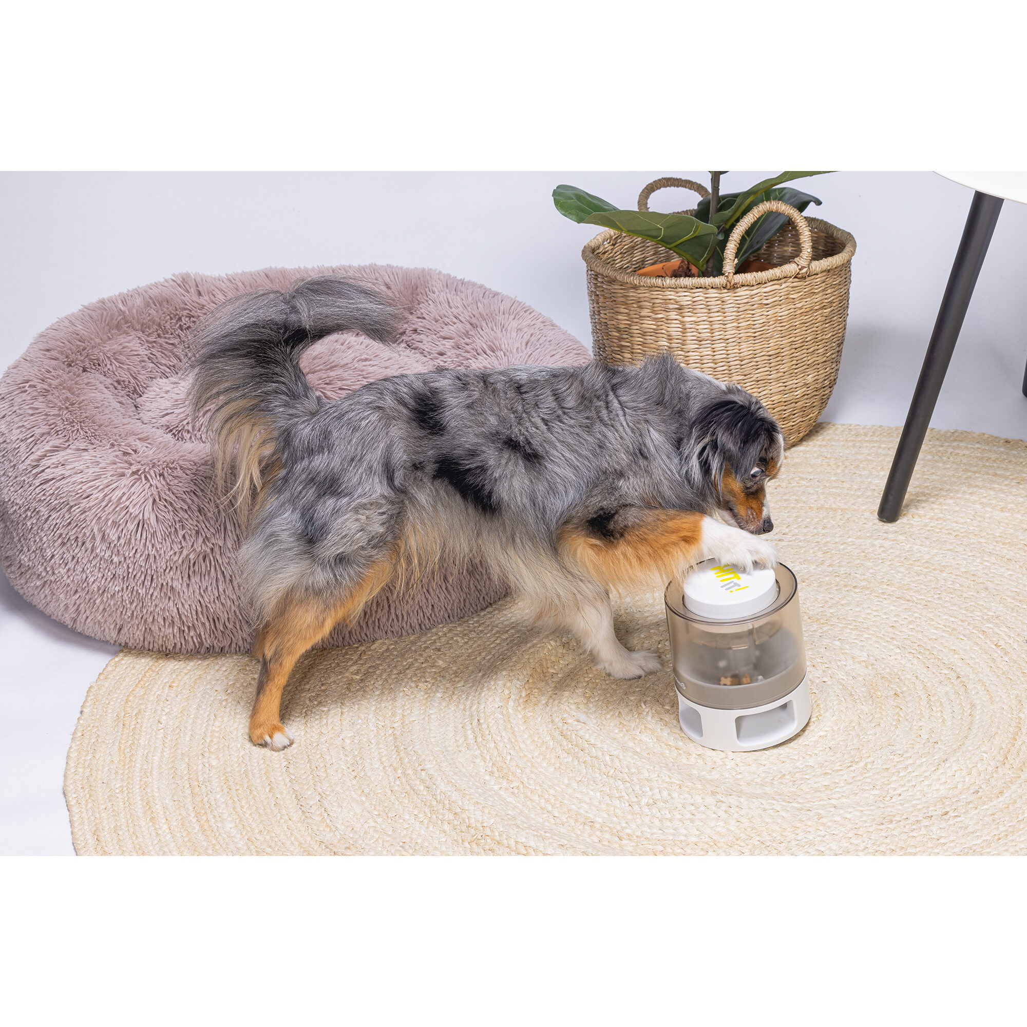 Beeztees Brain Game Delicious