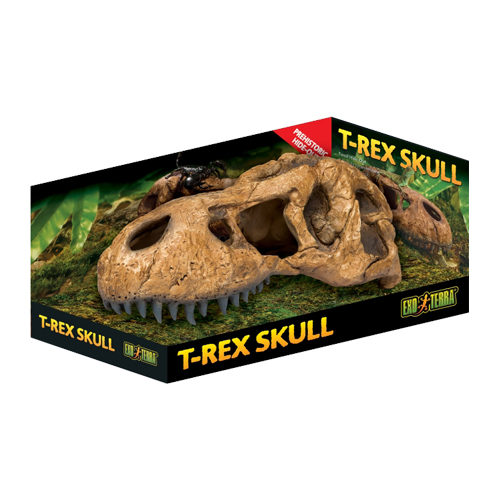 Exo Terra T-Rex Skull Fossil Hideout
