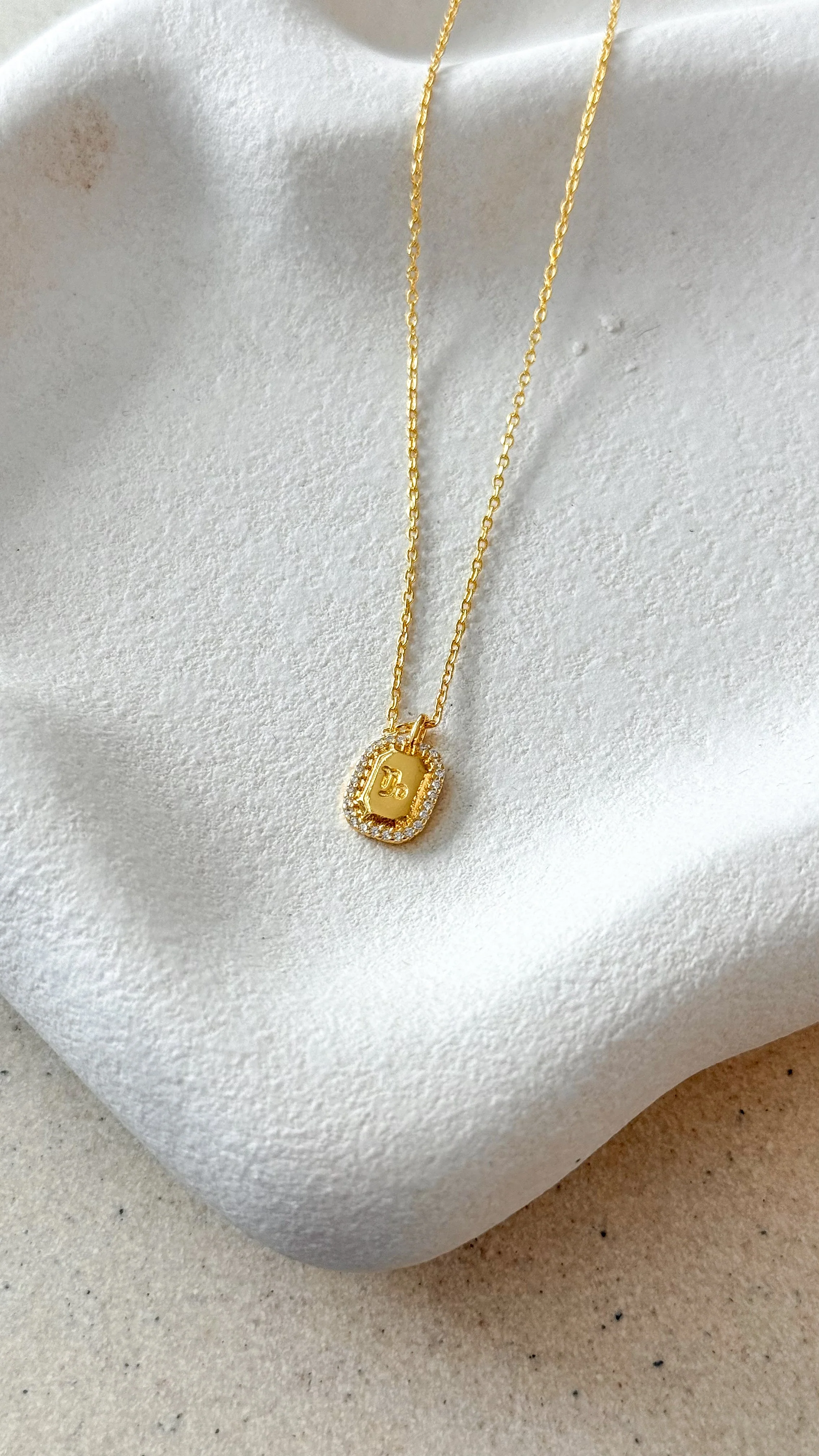 Zodiac Necklace - Capricorn