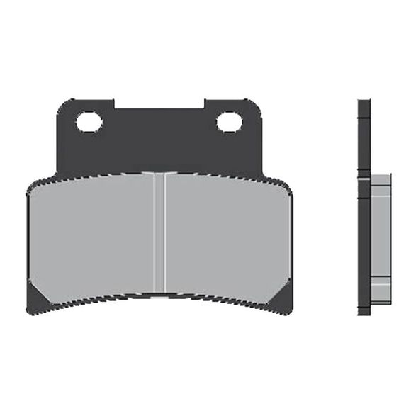 Plaquettes de freins Brenta Organique AvantRef : FT 3098 / FT3098