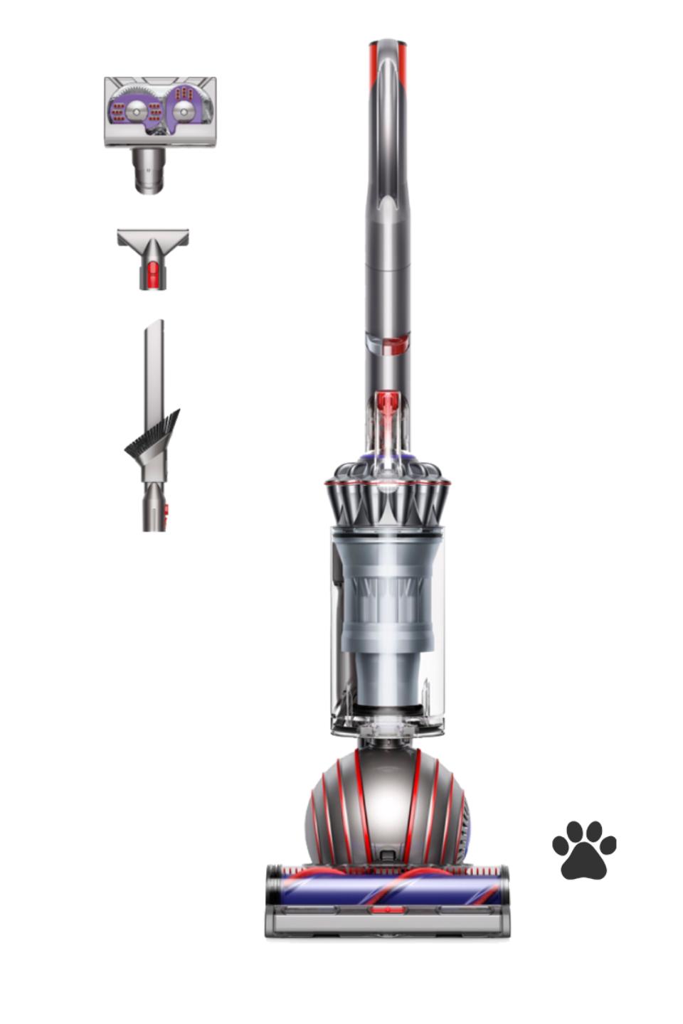 Dyson Ball Animal