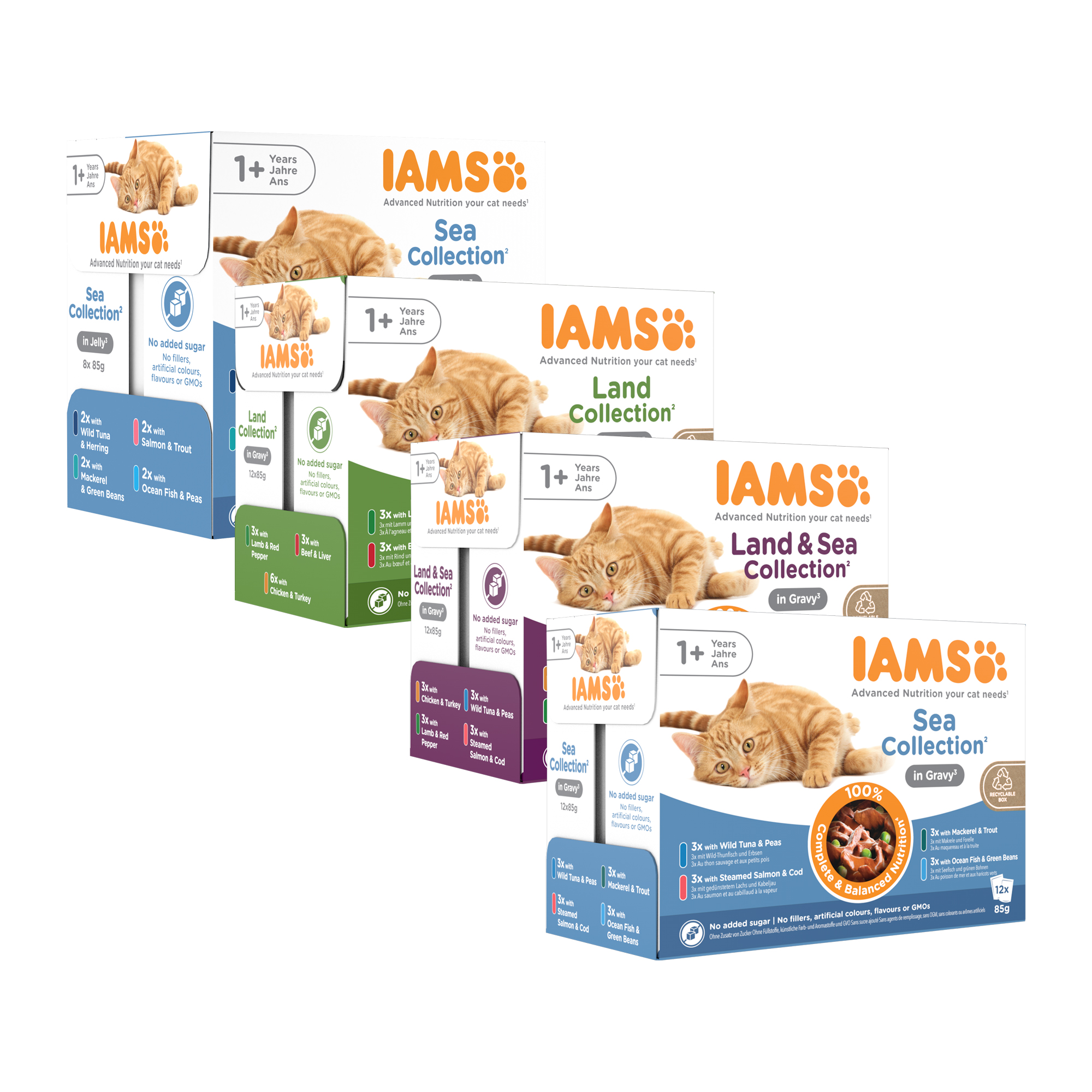 IAMS Delights Adult Cat Wet Food - Sea Collection - Jelly - 12 x 85 g