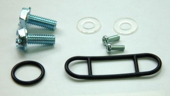 Kit Reconditioning fuel valve Tour Max Ref: Trm00690A / 1055437