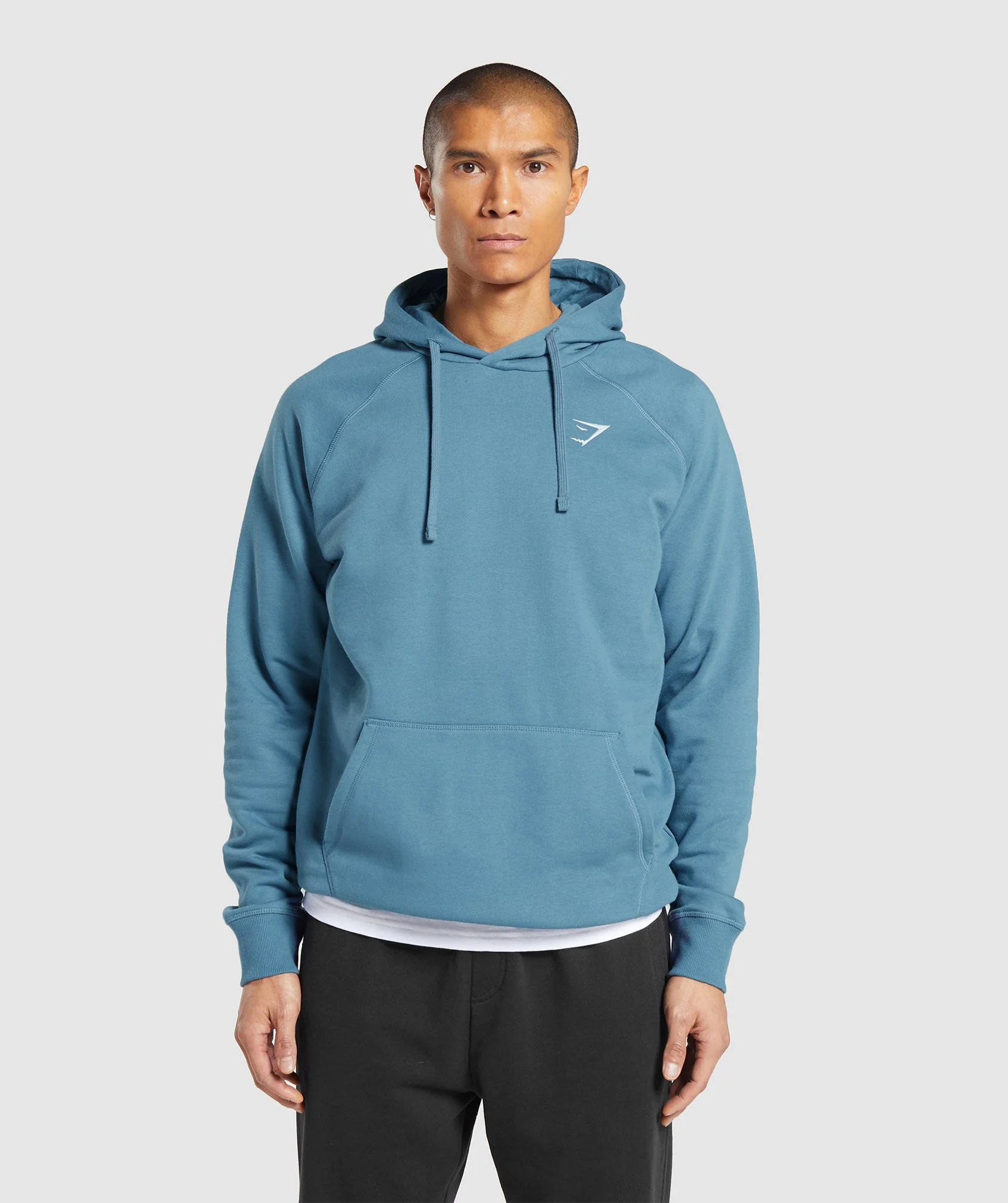 Crest Hoodie Faded Blue