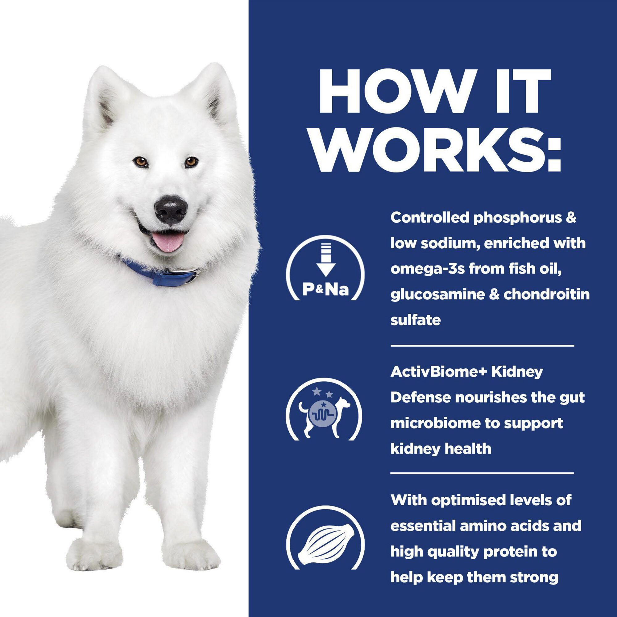 Hill's k/d+ Mobility - Prescription Diet - Canine - Can - 12 x 370 g