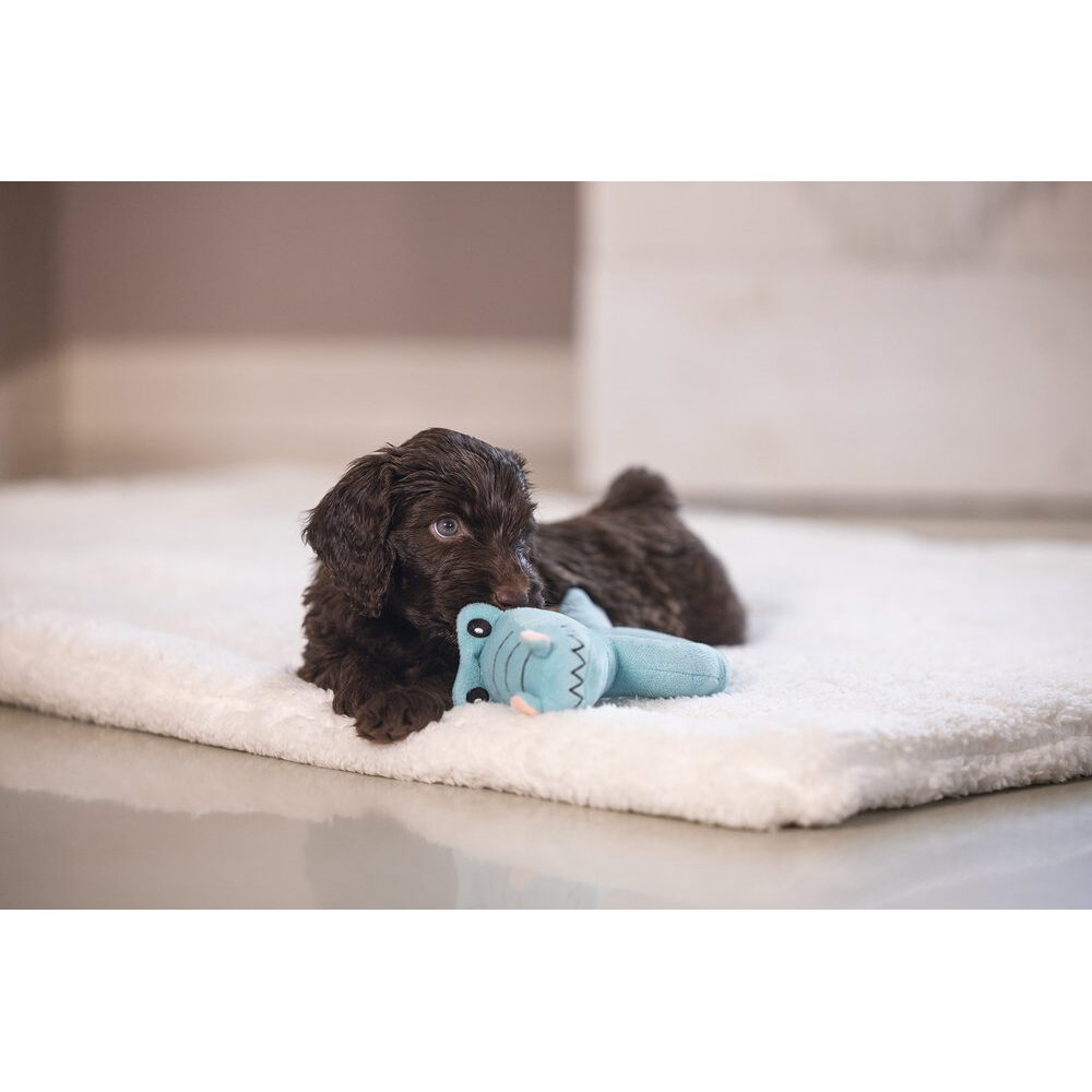 Beeztees Puppy Rattle - Flamingo