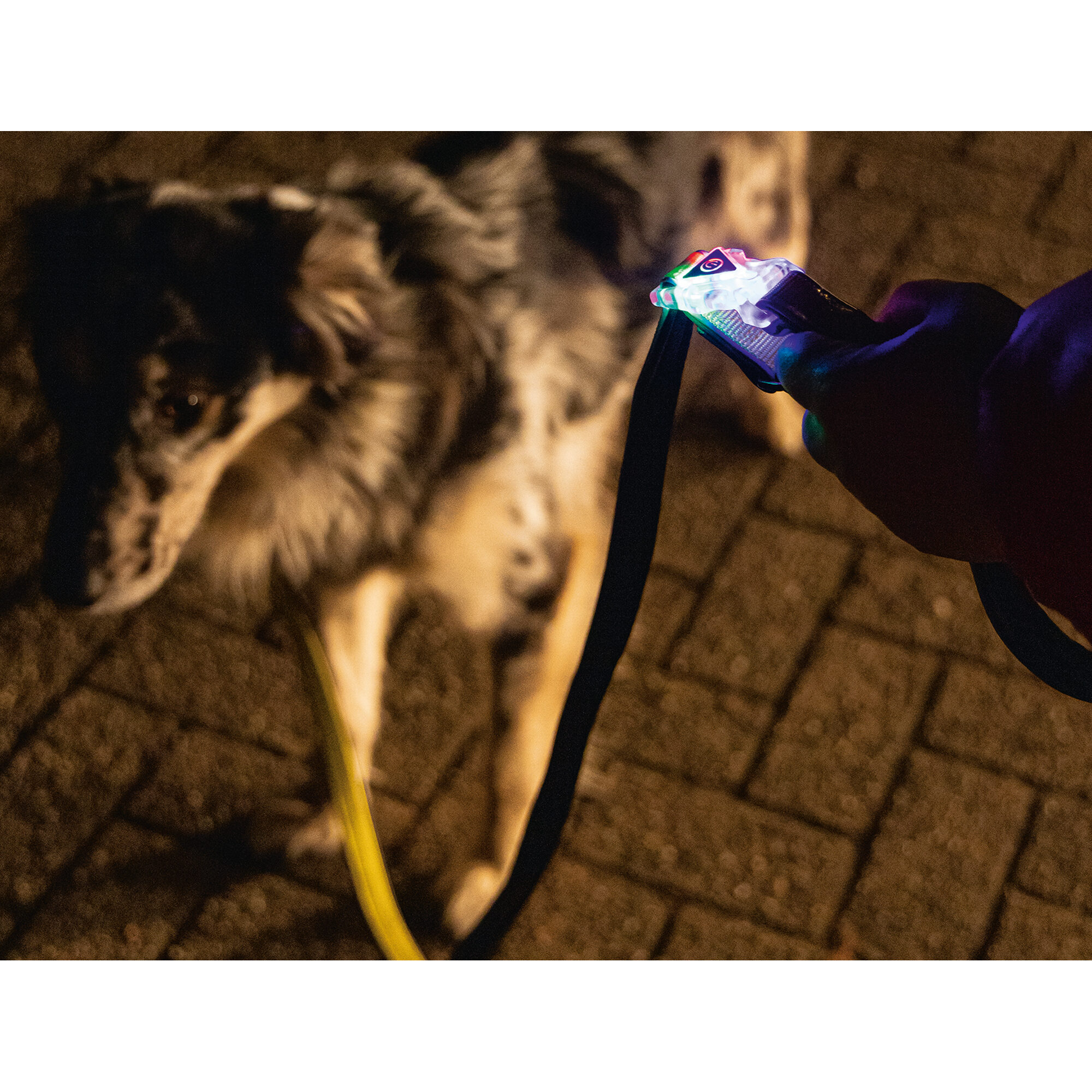 Beeztees Safety Gear Parinca Dog Leash - 150 x 2 cm