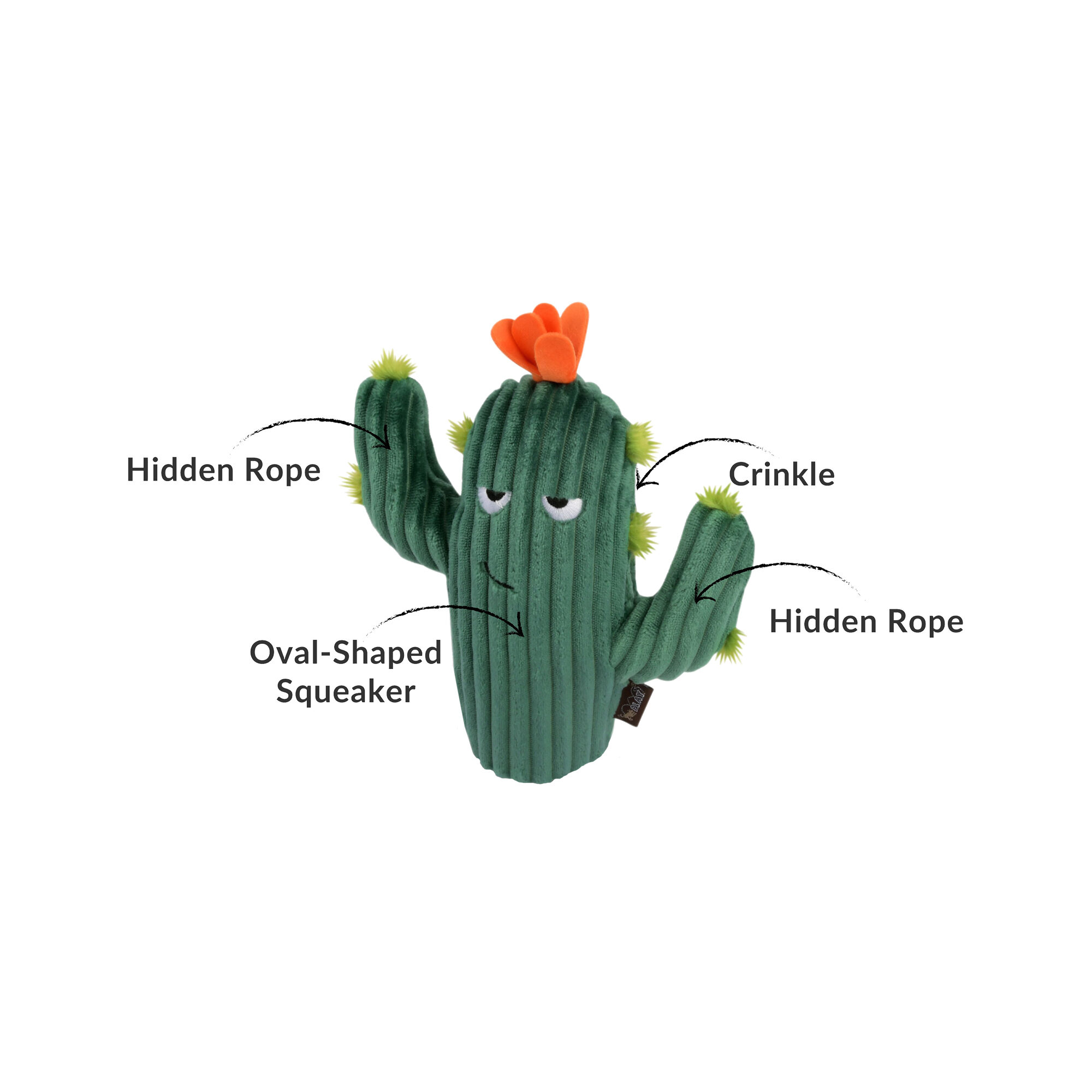 P.L.A.Y. Pet Blooming Buddies - Prickly Pup Cactus