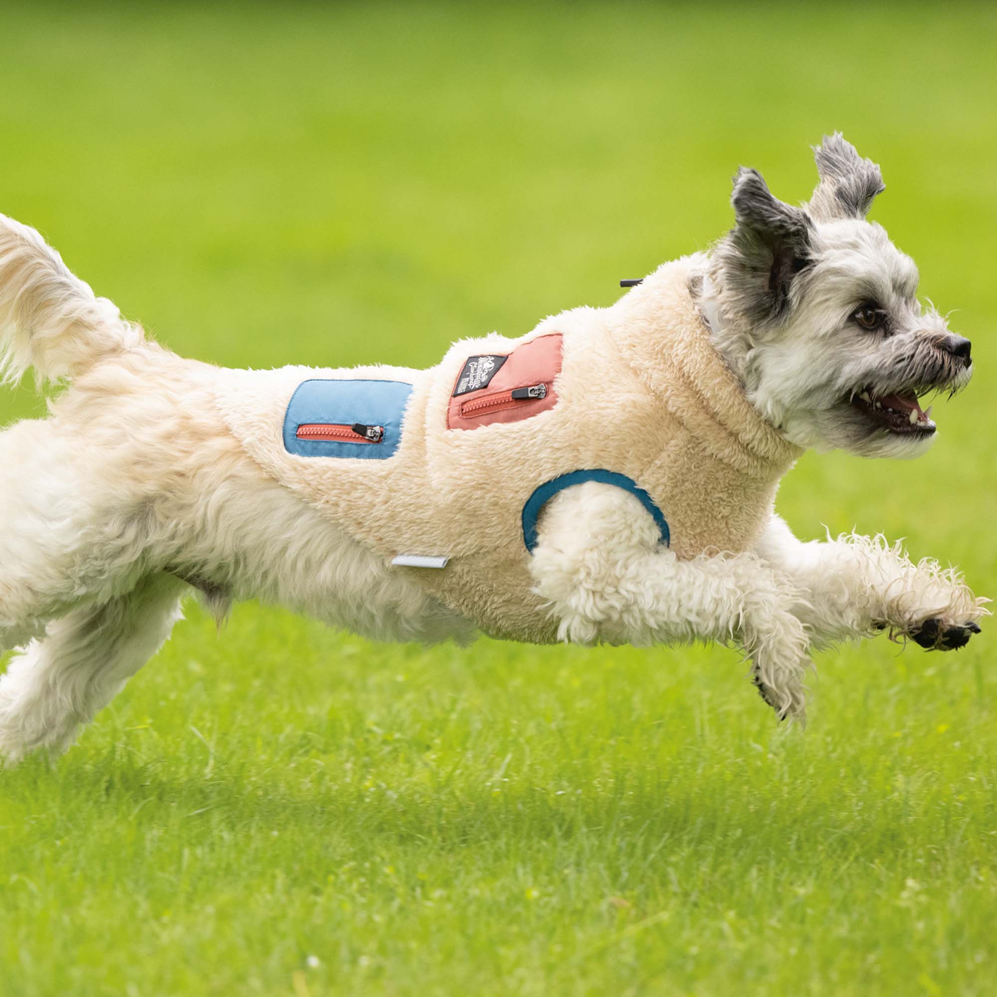 Beeztees Dog Coat Teddy - 20 - Beige