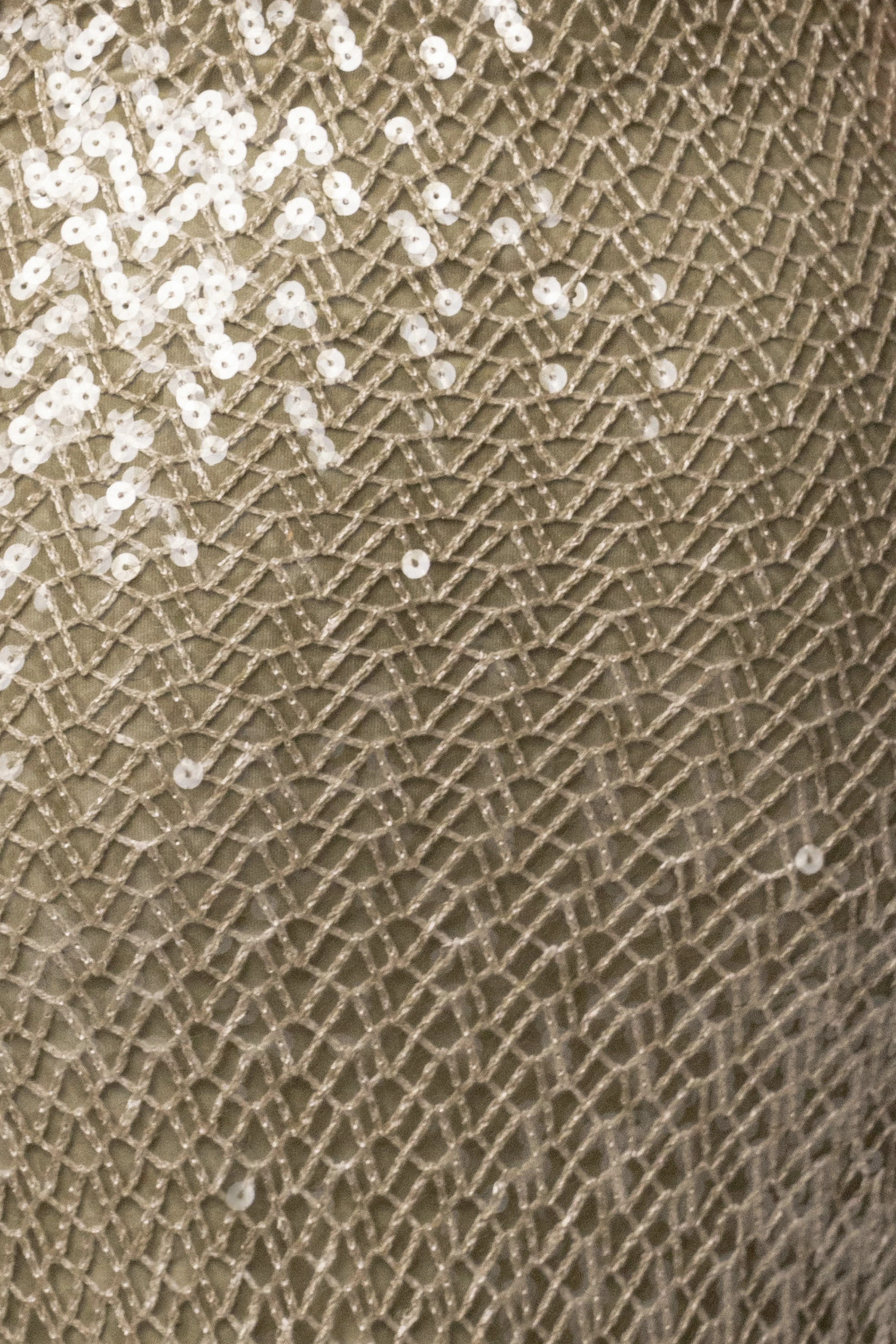 Sage Marisela Sequin Maxi Dress