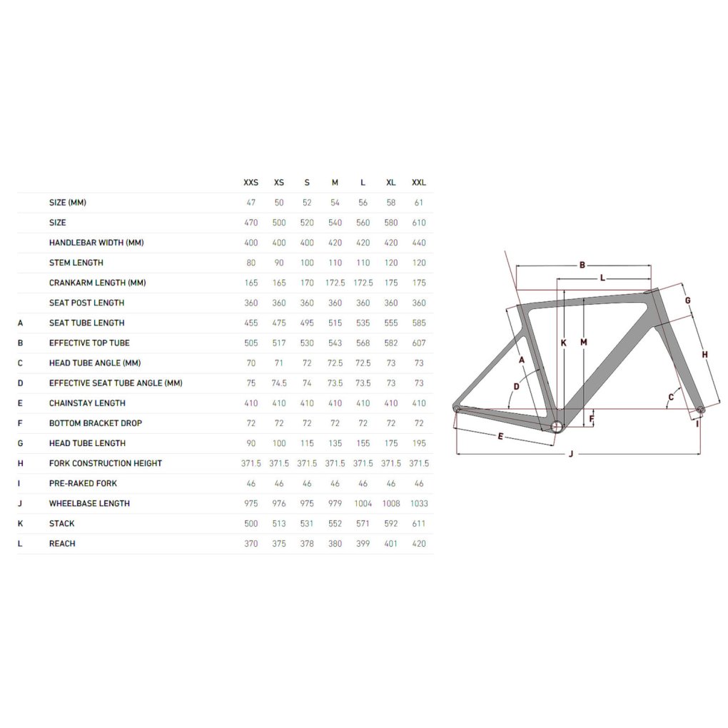 FOCUS IZALCO MAX 9.9 - Carbon Road Bike - 2025 - carbon raw matt / glossy