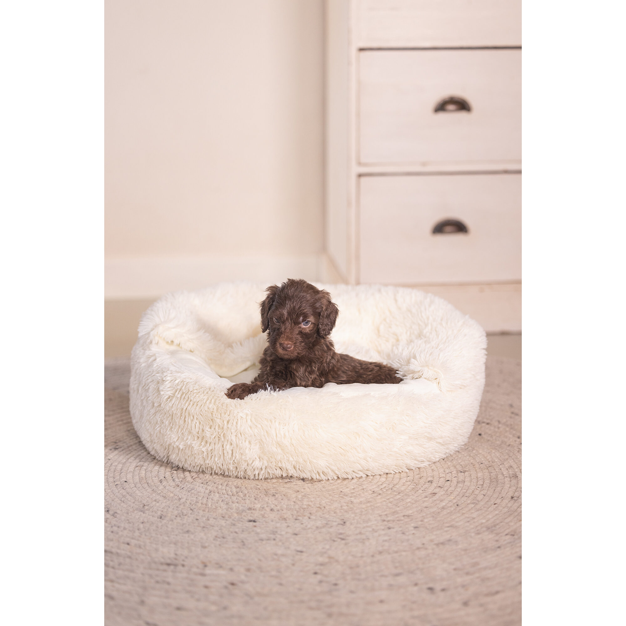 Beeztees Puppy Lounger Kiki - Cream