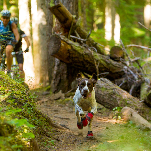 Ruffwear Grip Trex Boots - XXXXS - Obsidian Black - Set of 2