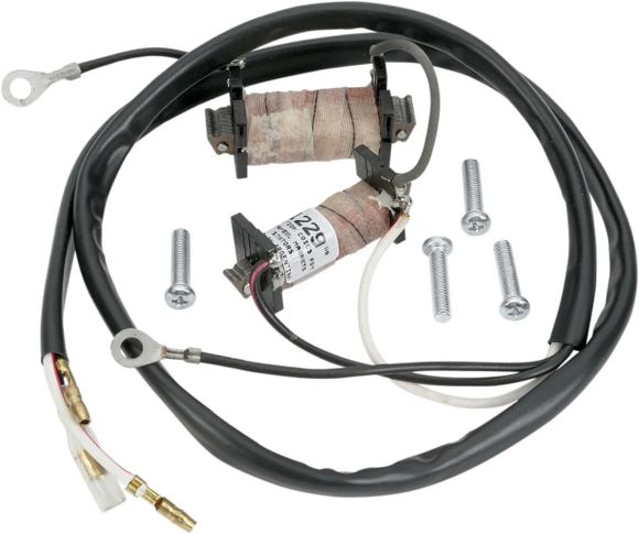 Rick's Motosport Electric Ignition Stator 21110106Ref: Rick00072A / 21110106