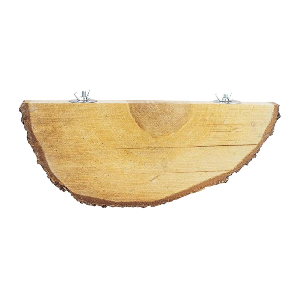 Back Zoo Nature Quarter Wood Slice