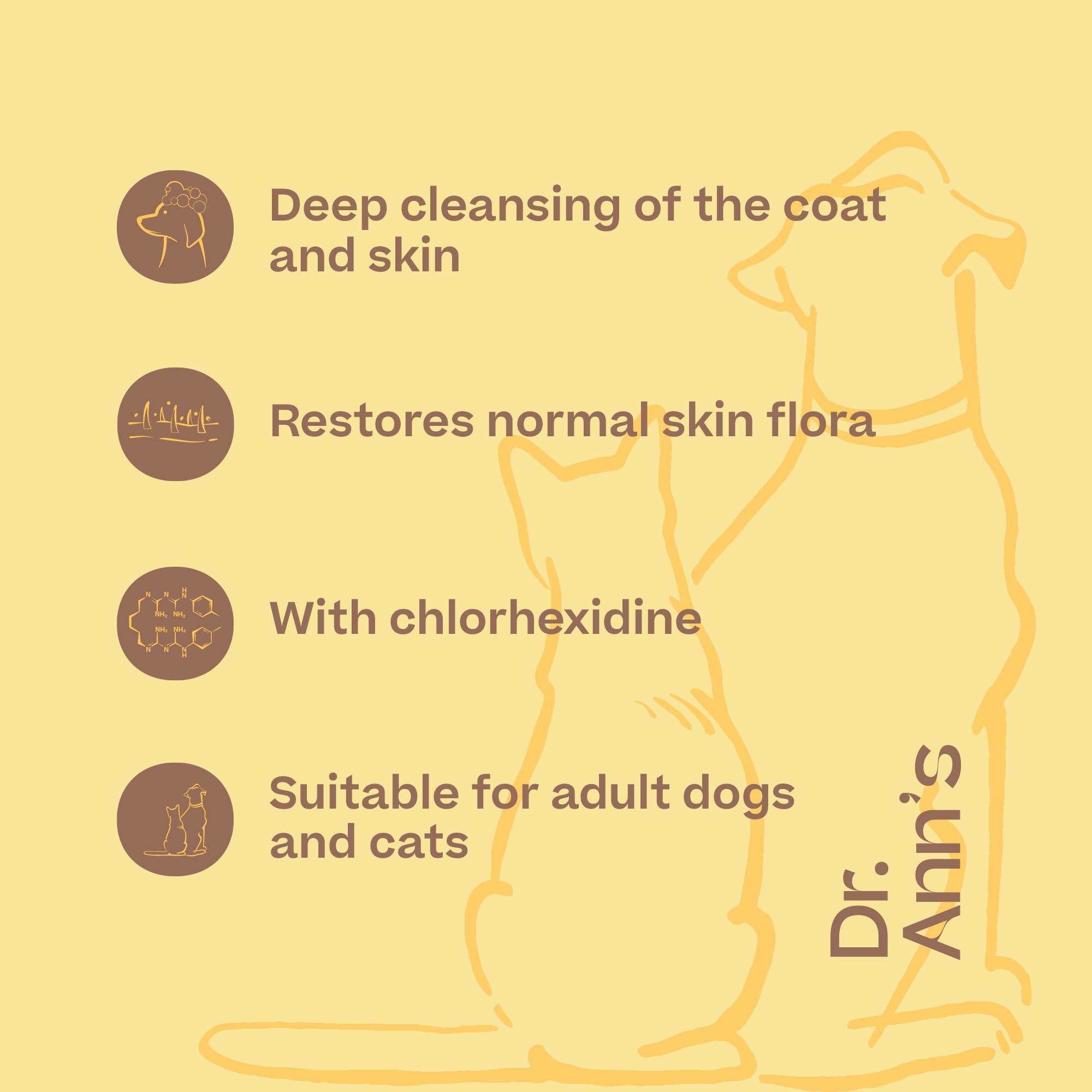 Dr. Ann's Chlorhexidine Shampoo - 250 ml