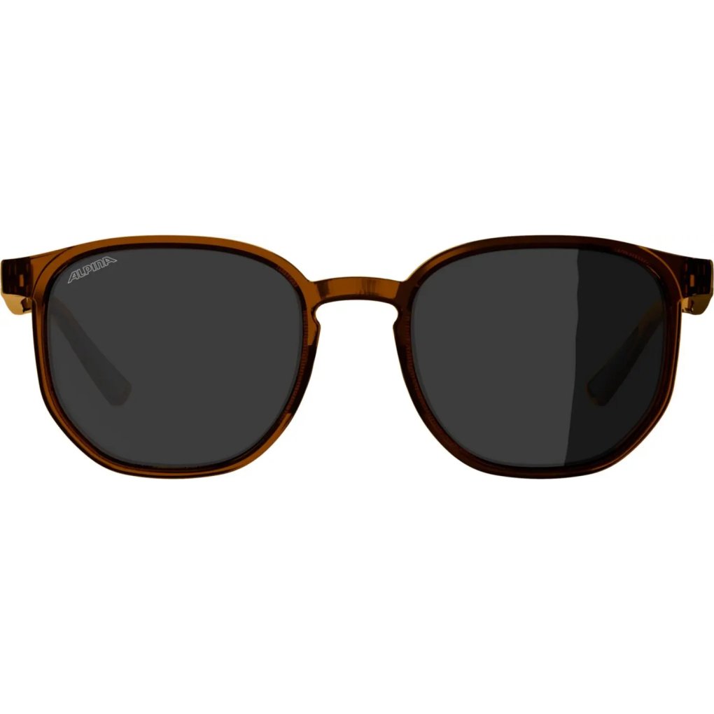 Alpina Dimont Glasses - brown transparent matt/brown