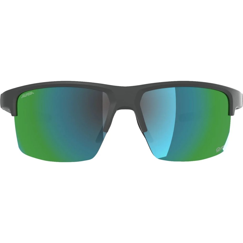 Alpina Eagle Q-Lite Glasses - midnight-grey matt/green