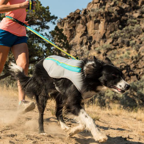 Ruffwear Swamp Cooler - Graphite Gray - L