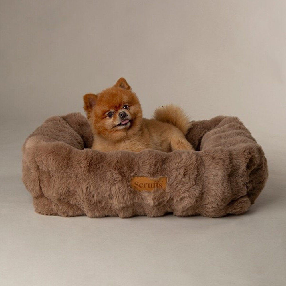 Scruffs Alpine Box Bed - Taupe - L