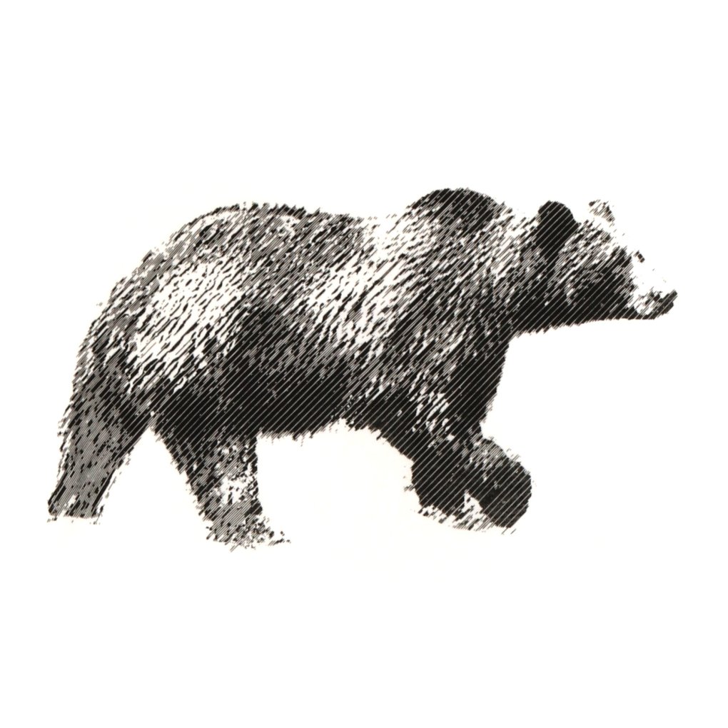 Suplest Bear T-Shirt - white 05.055.