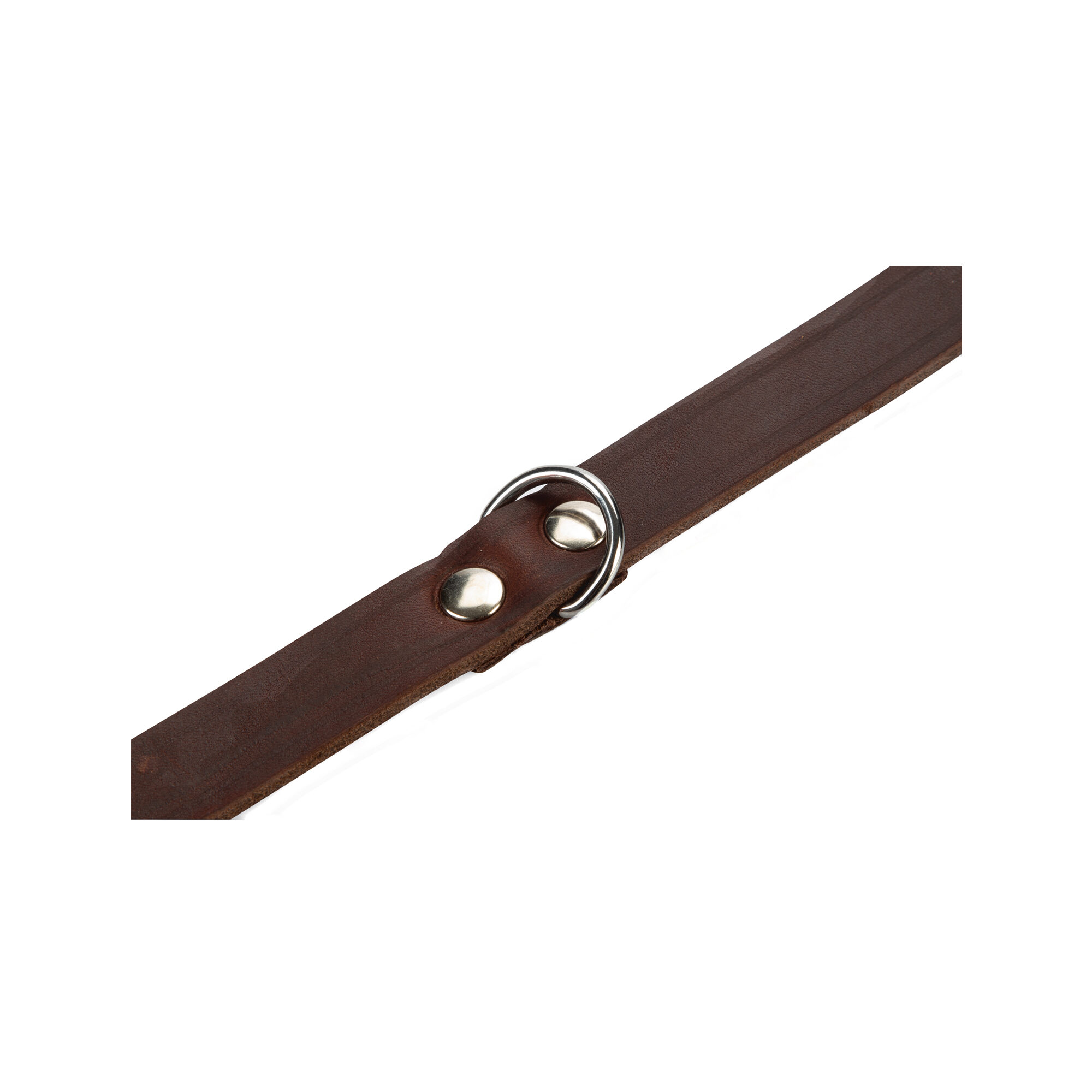Beeztees Dog Collar Leather - Brown - 62cm x 25mm