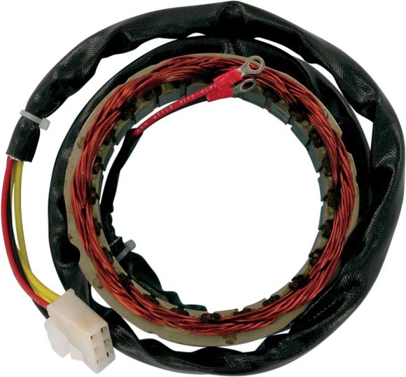 Stator d'allumage Rick's Motosport Electric CHS1NWLRef : RICK00163A / CHS1NWL