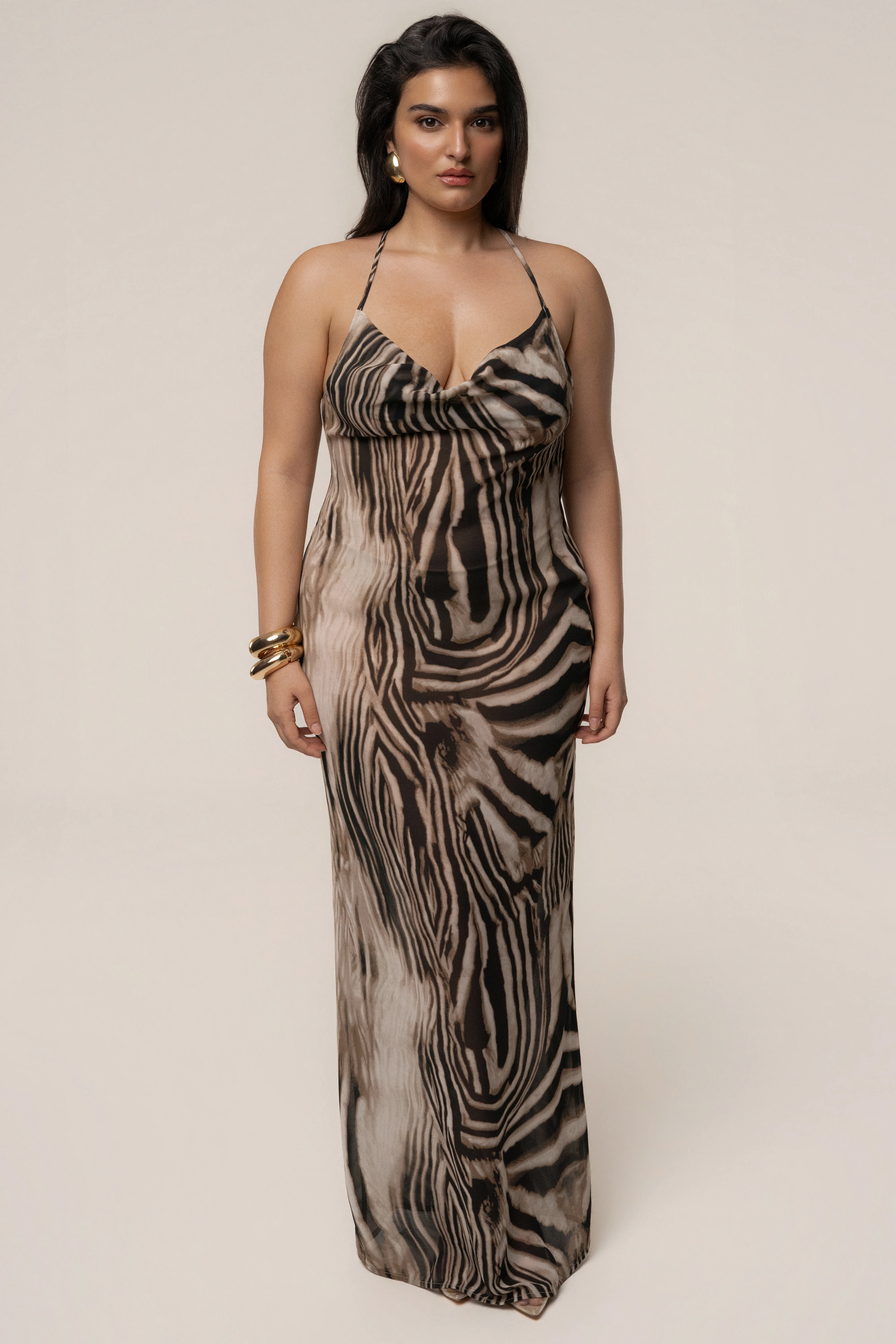 Brown Zebra Print Infinite Journey Maxi Dress